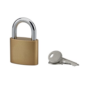 Lucchetto in ottone con chiave, ideale per proteggere oggetti di valore.