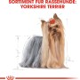 Illustrazione di uno Yorkshire Terrier per cibo per cani Royal Canin.