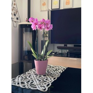 Coprivaso plastica riciclata Ø 15 cm rosa quarzo