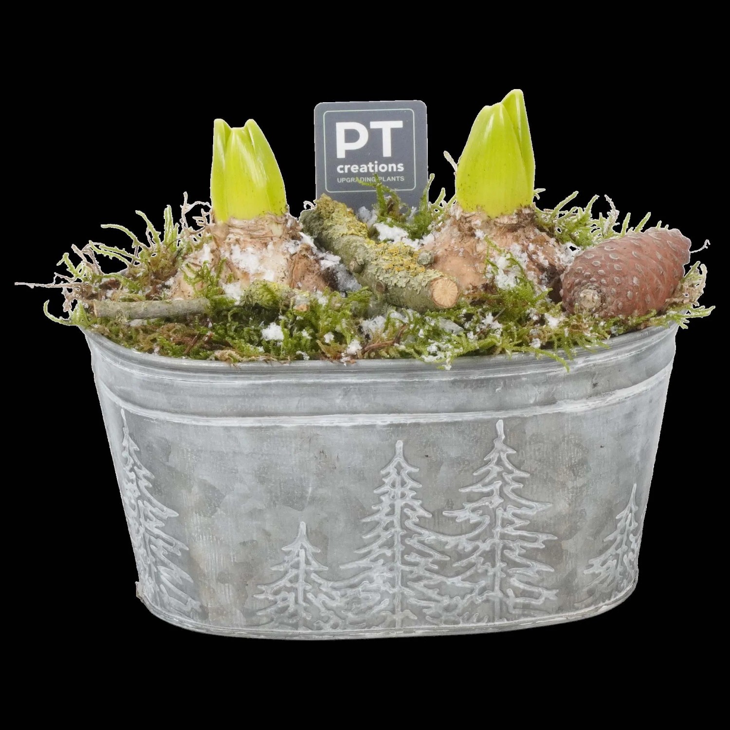 Flowers & Garden Jardinier en zinc blanc lavé ovale L 24 cm l = 15,5 cm
