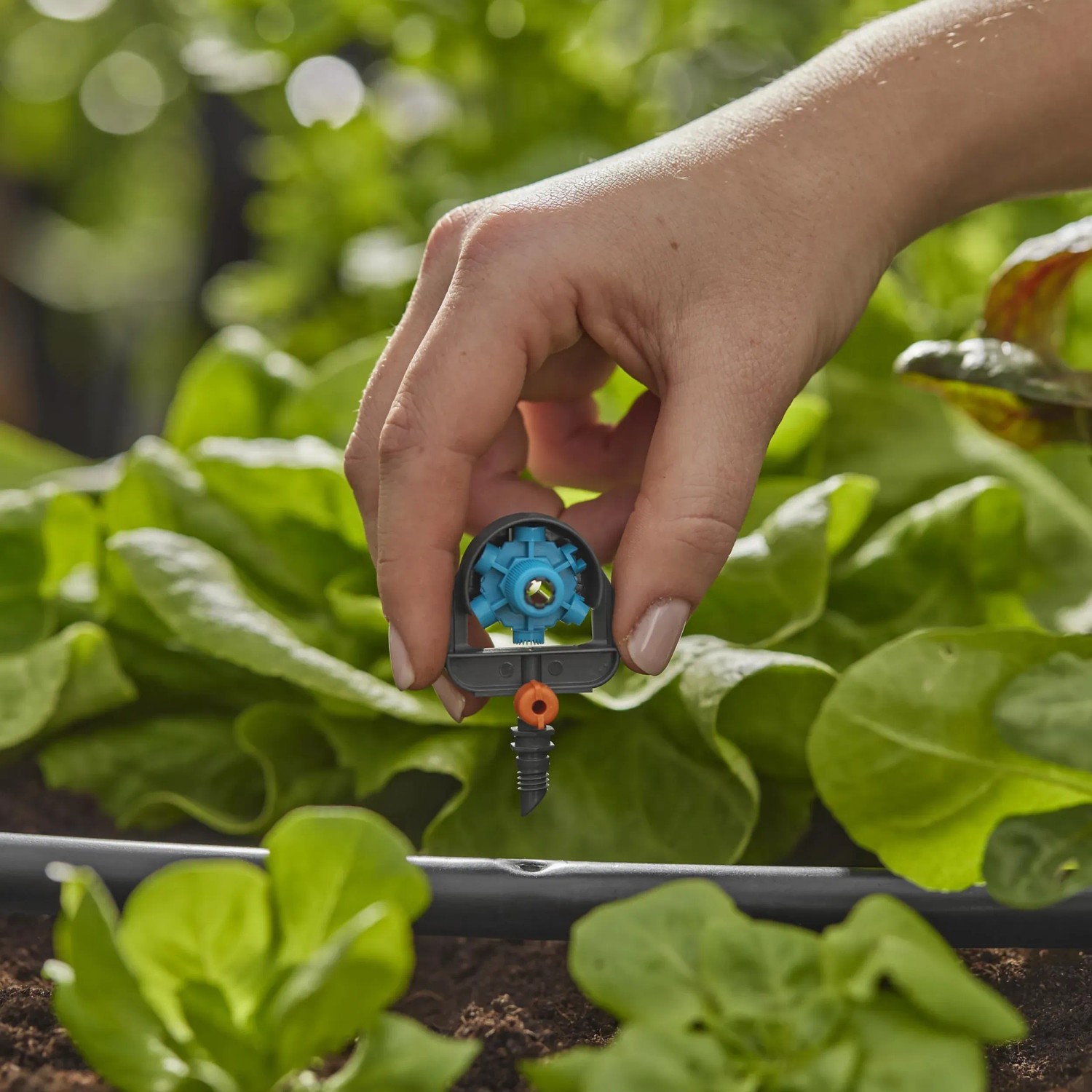 Gardena 6 in 1 ugello a spruzzo in uso per irrigazione flessibile nel sistema Micro-Drip.