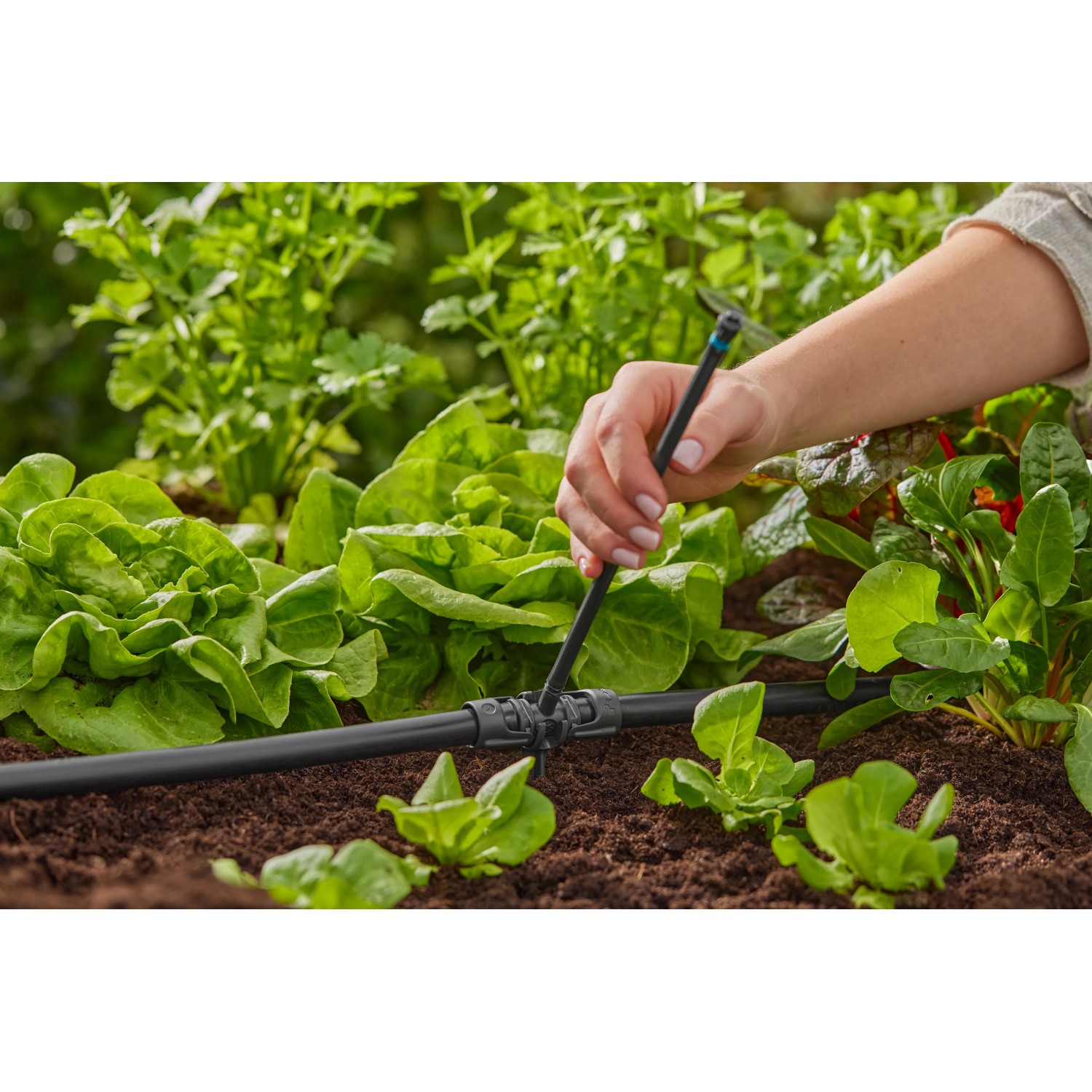 Tubo di prolunga Gardena (20 cm) per ugelli a spruzzo in uso nell'orto.