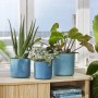 Tre vasi da fiori Elho Ocean Collection Ø 14 cm blu Atlantico con piante su un tavolo davanti a una finestra.