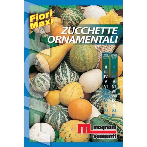 Confezione di semi di zucchette ornamentali: varietà di forme e colori per il giardino.