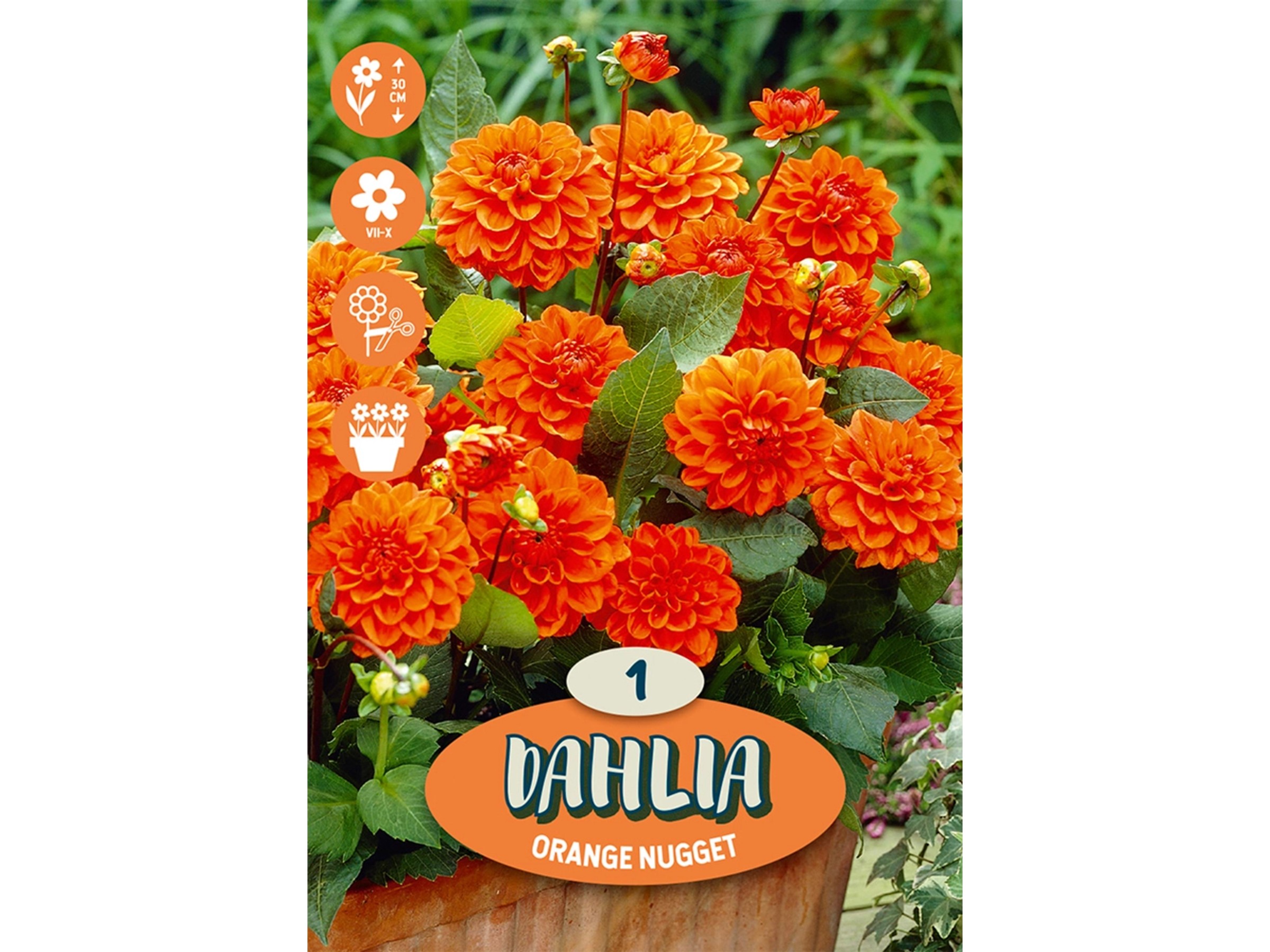 deyoli Fiori bianchi. Formato: 90 x 60 cm. Effetto