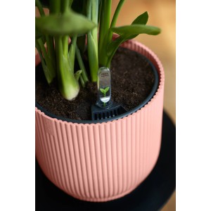 Vaso per fiori Elho Vibes Fold, Ø 22 cm, rosa tenue, con pianta e indicatore di irrigazione.