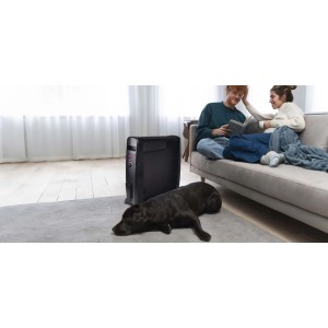 Radiatore elettrico Romeo con elemento in mica 2000W nero