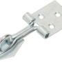 Catenaccio zincato con occhiello, 100x25mm, per coperchi di casse e piccole porte.