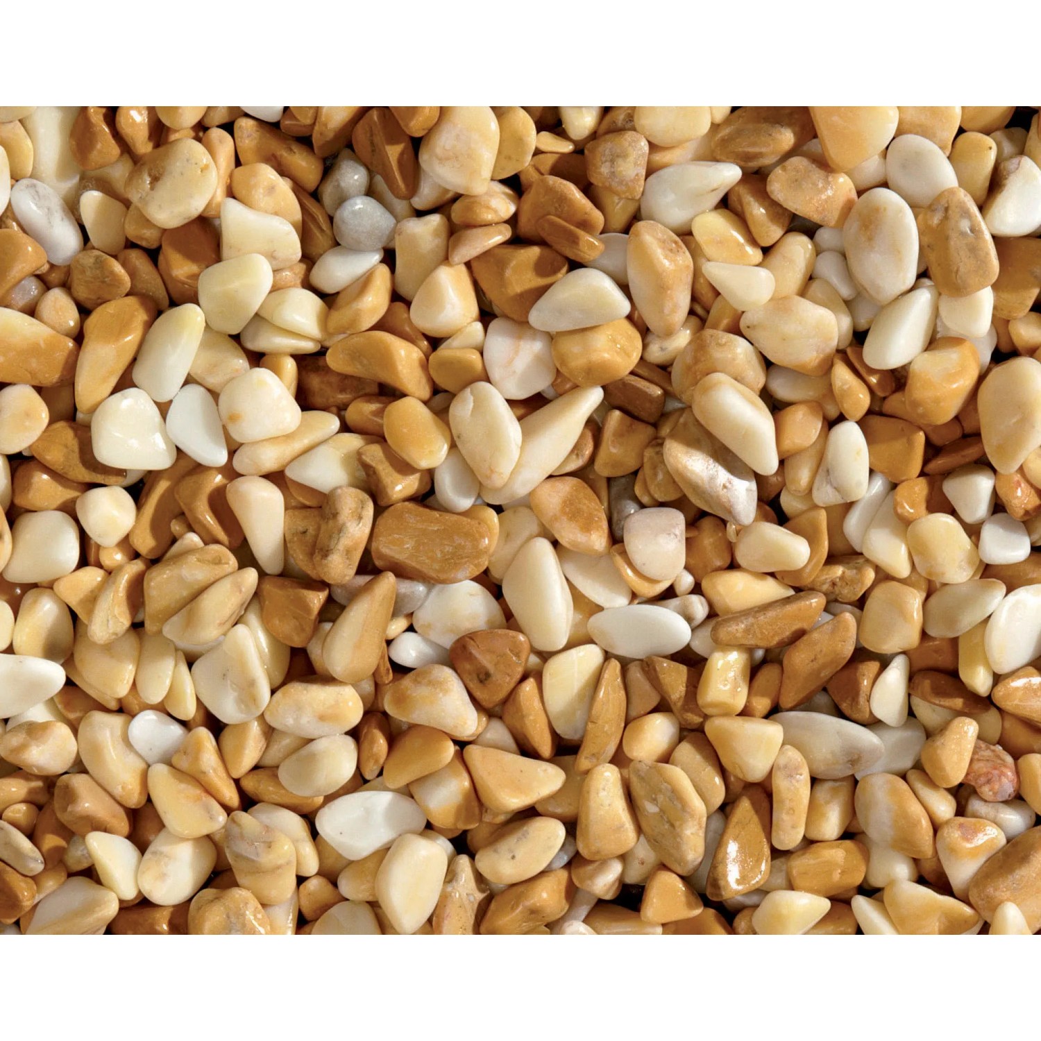 Primo piano di ghiaia decorativa t.b.t., ciottoli e granulati beige-bianchi.