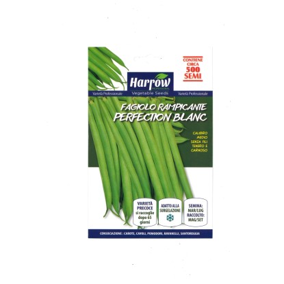 Semi orto Harrow Fagiolo Perfection Blanc 500