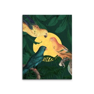 Canvas 30x40 cm set birds - parrots