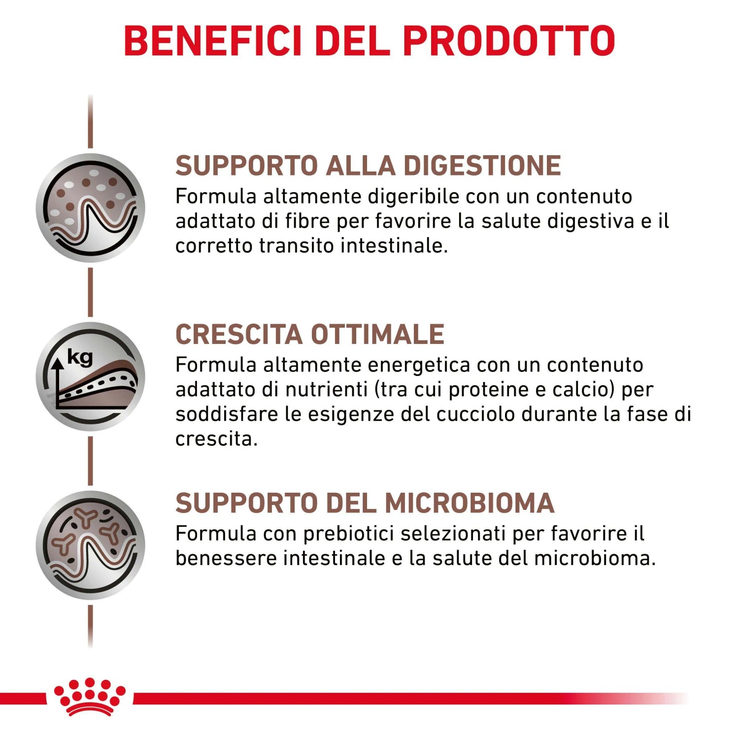 Grafica: Benefici di t.b.t. cibo secco per cani – digestione, crescita, microbioma.