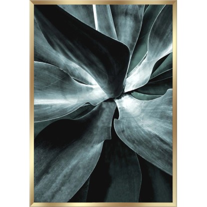 Stampa incorniciata TUTTI-FRUTTI PARTY DANCING 52x77 cm | Leroy Merlin