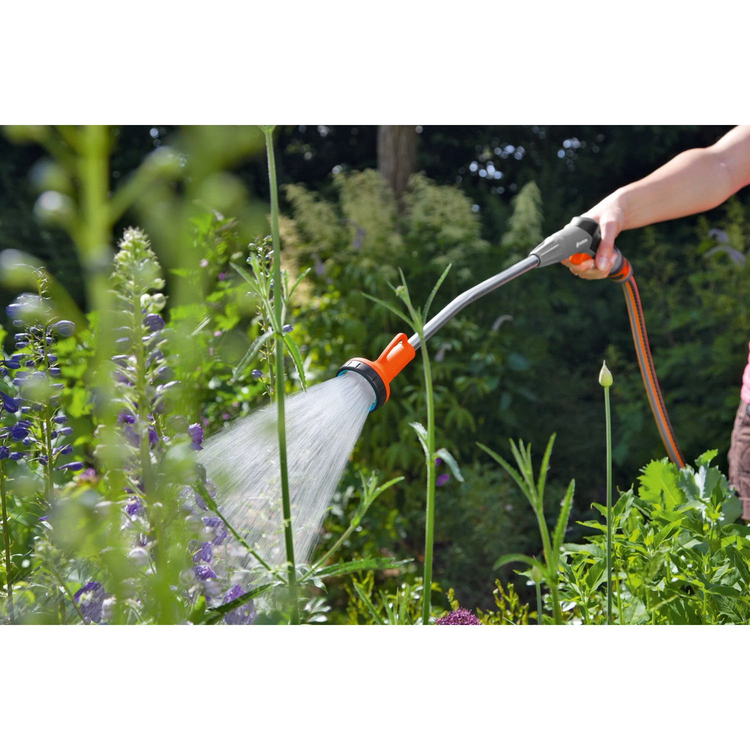 Gardena lancia per irrigazione 60 cm in uso: irrigazione di piante da giardino con getto a doccia.