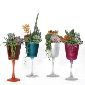 Composizione piante grasse Vaso in vetro colorato Ø 13 cm