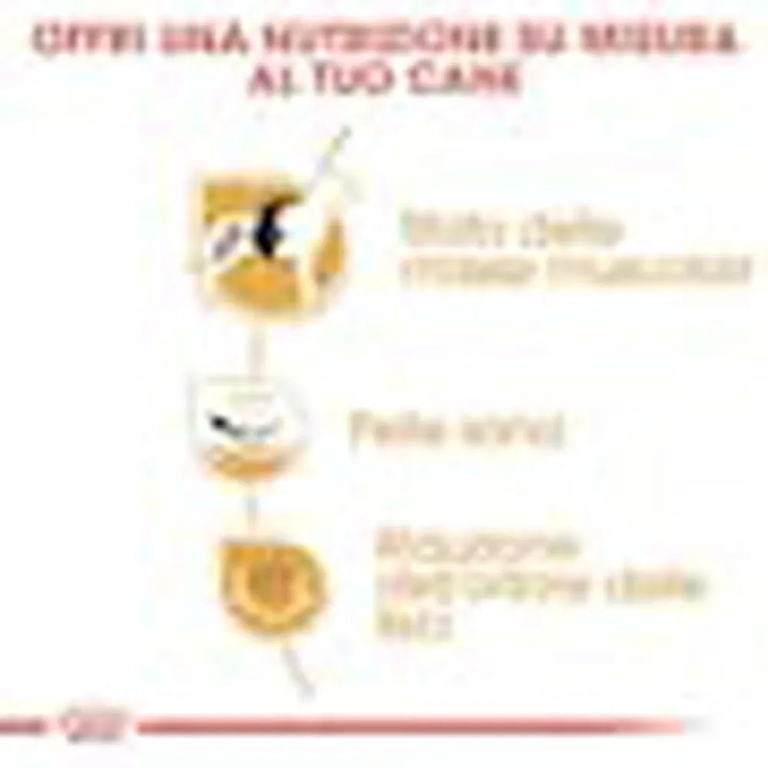 Grafica sui benefici del cibo secco per cani t.b.t.: muscoli, pelle, grasso.