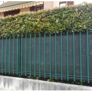 Recinzione verde con copertura privacy e siepe come frangivista. Categoria: Arelle, frangivista.