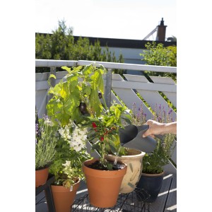 Giardinaggio: annaffiare piante in vaso con un piccolo annaffiatoio.