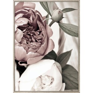 Quadri: Quadro incorniciato con peonie rosa e bianche in stile vintage.