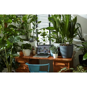 Scena con vaso per piante Elho Brussels Round Ø 14 in bianco su una scrivania con molte piante.