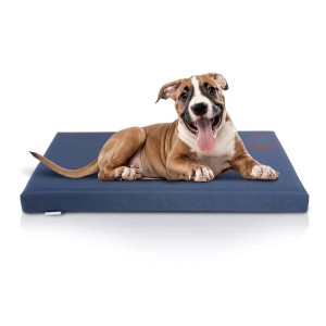 Cane rilassato su cuscino blu t.b.t. per cani. Comodo letto per cani per la casa.