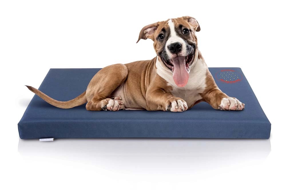 Lionto Letto Per Cani Cuscino Per Cani Divano Per Cani Con Cuscini, L A Sceltabeige Marrone 28047806 - Foto 12