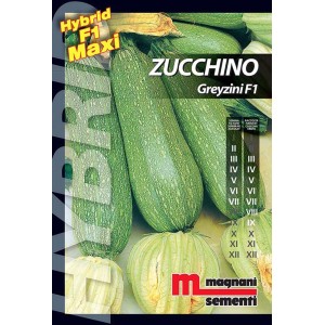 Confezione di semi di zucchino 'Greyzini F1' per la coltivazione di ortaggi in giardino.