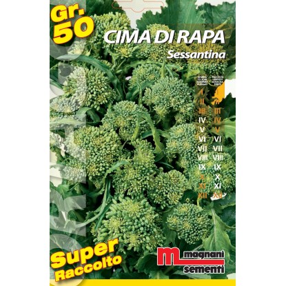 Semi orto big Cima di rapa sessantina 50 g