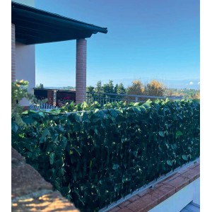 Tappeto di foglie verde t.b.t. come schermo per la privacy su un balcone con vista a distanza.