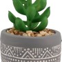 Succulenta artificiale in vaso decorato, decorazione per il giardino.