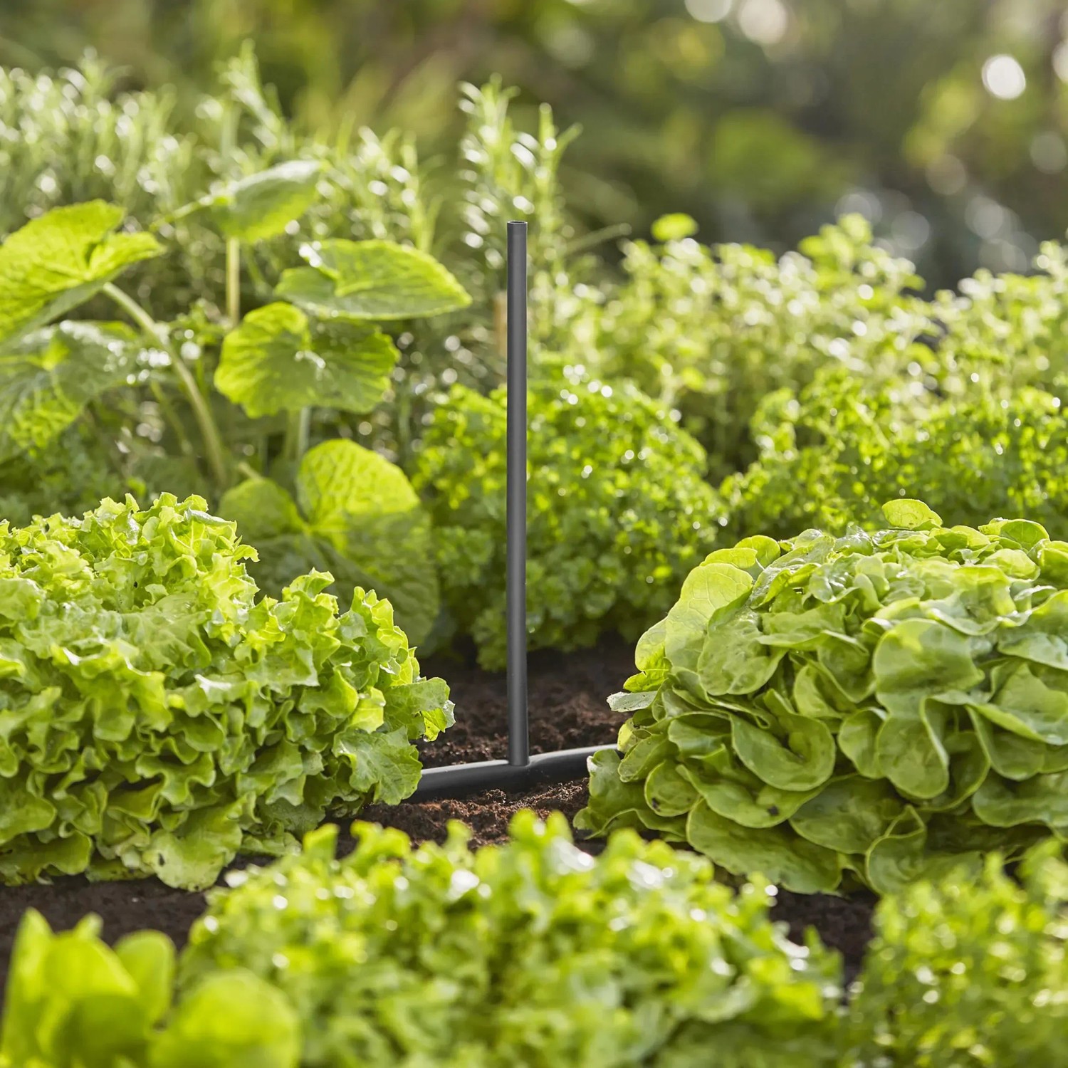 Tubo di prolunga Gardena 20 cm per ugelli a spruzzo nell'aiuola, Micro-Drip-System.