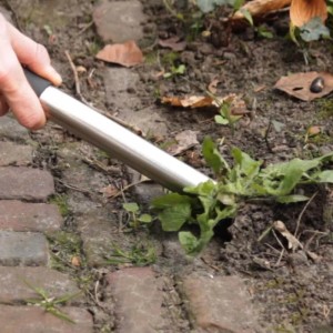 Primo piano di un piccolo attrezzo da giardino che rimuove le erbacce tra le pietre di pavimentazione.