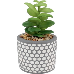 Succulenta artificiale in vaso con motivo a nido d'ape per decorazione giardino.