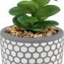 Succulenta artificiale in vaso con motivo a nido d'ape per decorazione giardino.