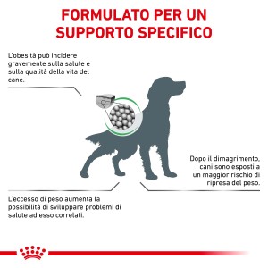 Illustrazione sull'obesità nei cani e i benefici del cibo secco specifico.
