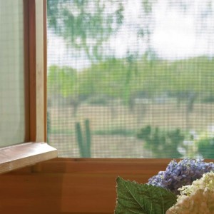 Finestra in legno con zanzariera e fiori in primo piano.