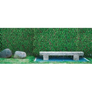 Schermo per la privacy t.b.t. verde in giardino con panca in pietra e rocce.