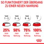 Grafica: Passaggio all'alimento per Royal Canin Mini Puppy. Guida in 4 fasi per alimenti per cuccioli.
