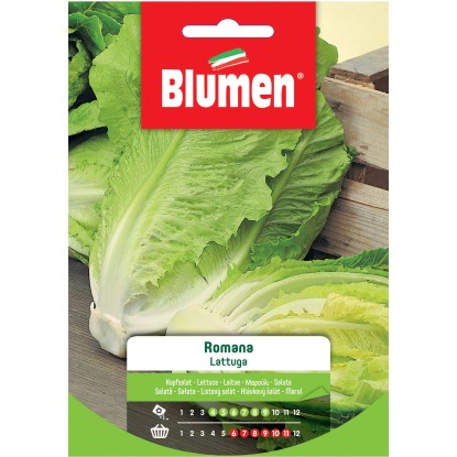 Semi Blumen Lattuga romana