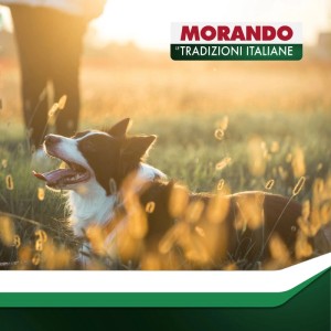 Cibo umido per cani Morando adulto mini patè pollo patate piselli 150 g