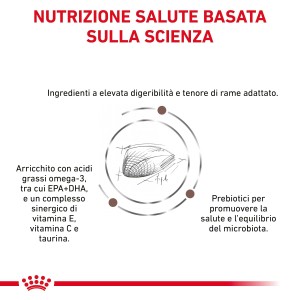 Grafica sugli ingredienti e i benefici del cibo secco per cani t.b.t.