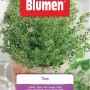 Semi di timo Blumen Timo per erbe aromatiche.