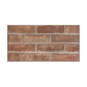 Piastrella da rivestimento t.b.t. effetto mattone, rosso-marrone con fughe grigie.