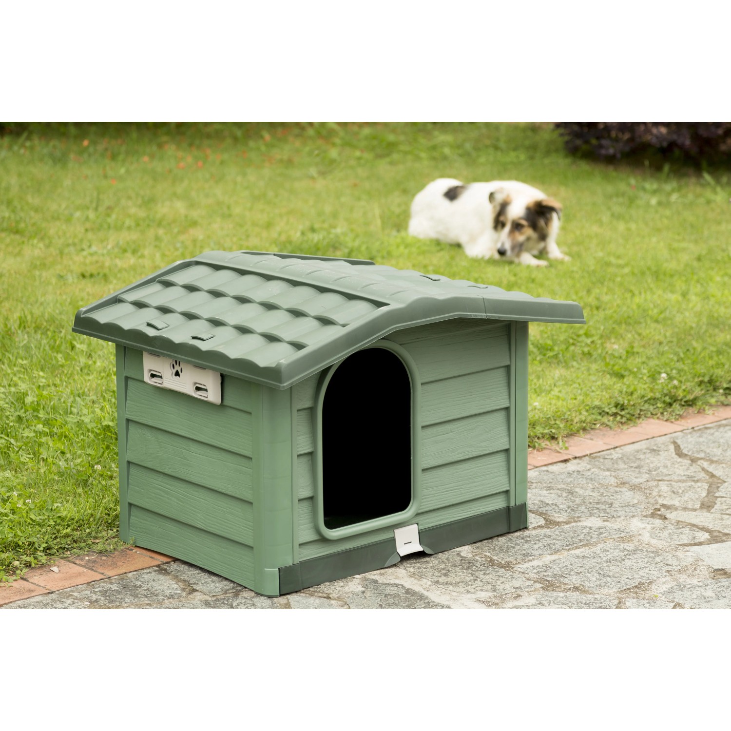 Cuccia per cani verde con tetto e cane sullo sfondo.