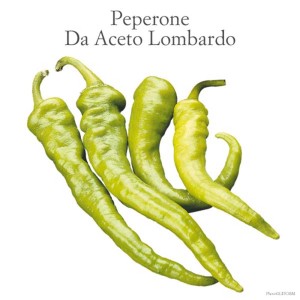 Peperoni verdi 'Da Aceto Lombardo', una varietà della categoria Ortaggi da frutto.