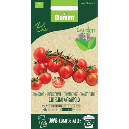 Semi Pomodoro Ciliegino a grappolo