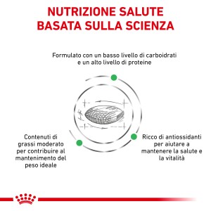 Illustrazione degli ingredienti di t.b.t. cibo secco per cani: carboidrati, proteine, grassi e antiossidanti.