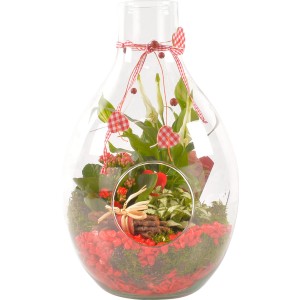 t.b.t. Composizione di piante in vetro con decorazioni rosse per interni.