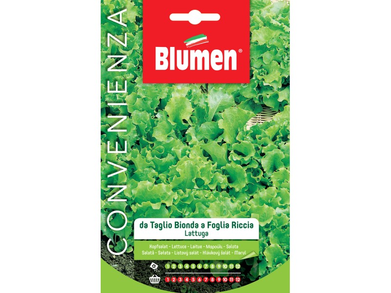 SEMI RUCOLA SELVATICA MAXI ORTO BLUMEN