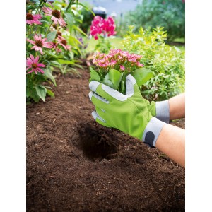 Guanti da giardino verde-grigi taglia 8 mentre piantano un fiore in un'aiuola.